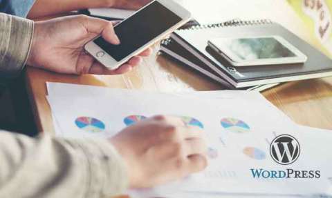  वेब डिजाइनर